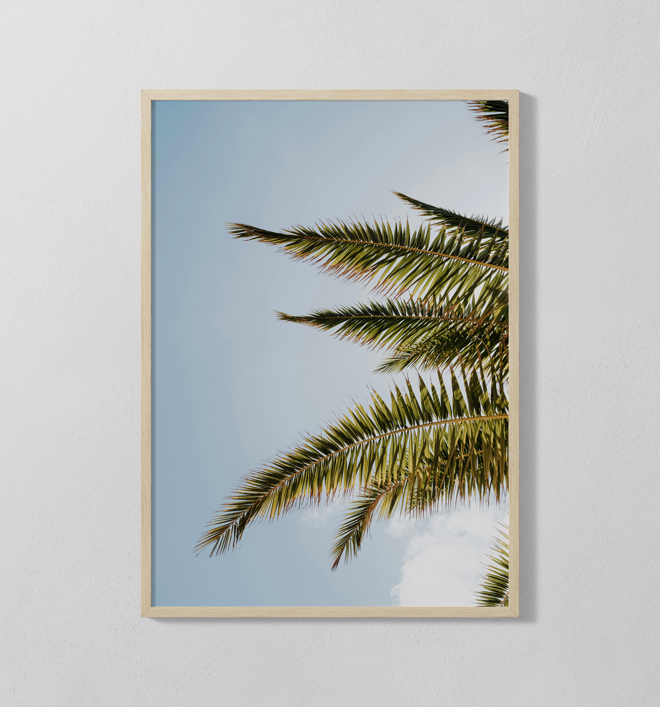 Palmen | Poster